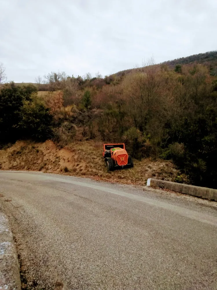Débroussaillage au bord de la route - avant
