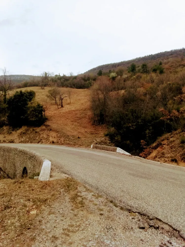 Débroussaillage au bord de la route - après