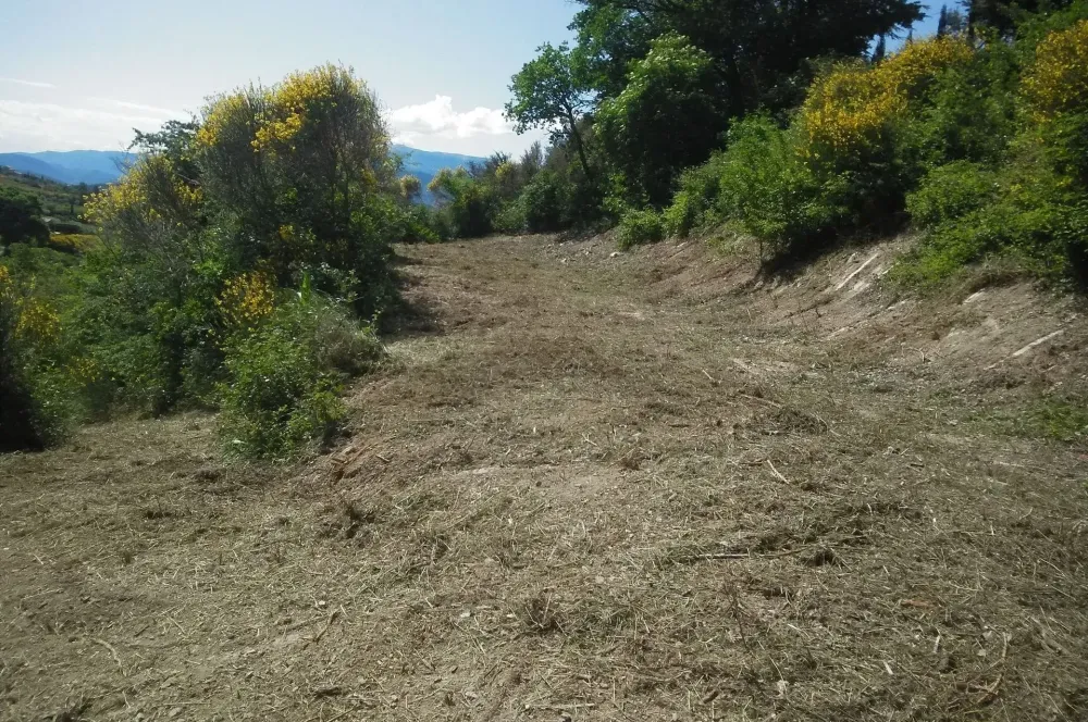 Débroussaillage près de Nyons