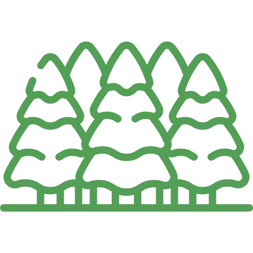 foret