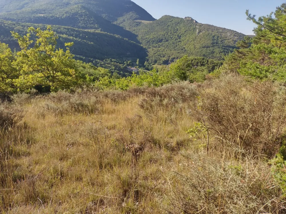 IMG_20260826_085933_HDR