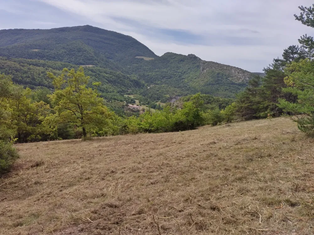 IMG_20260826_111927_HDR